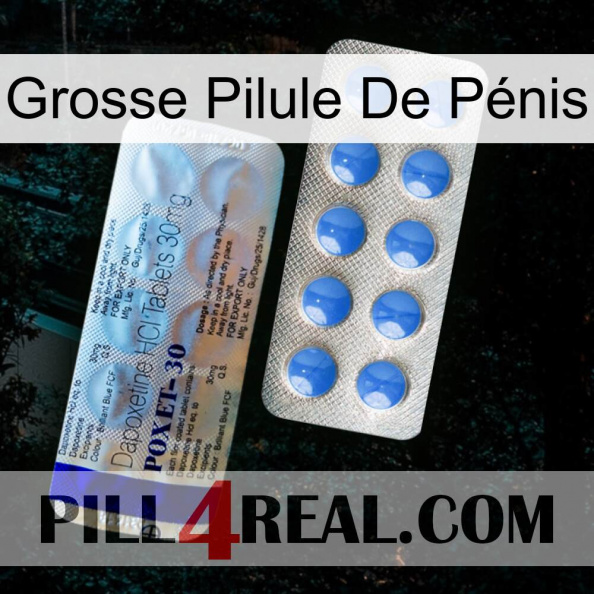 Grosse Pilule De Pénis 39